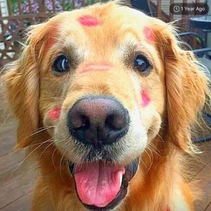 Meet your Posher, Suzanne